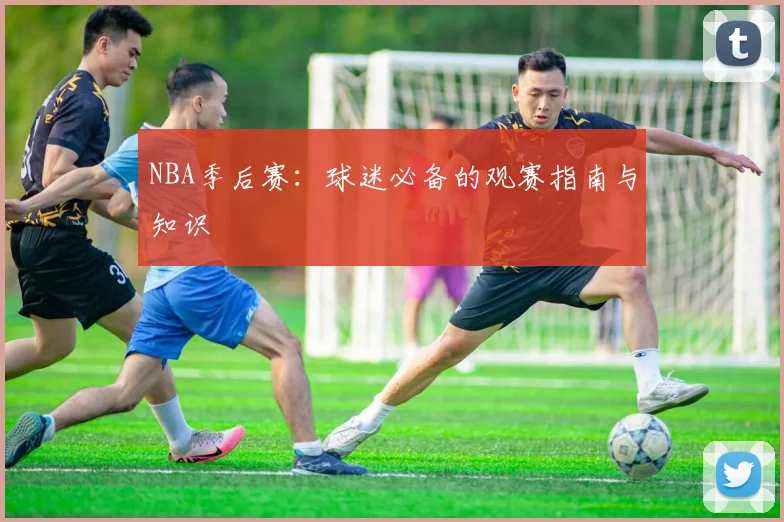 NBA季后赛:球迷必备的观赛指南与知识
